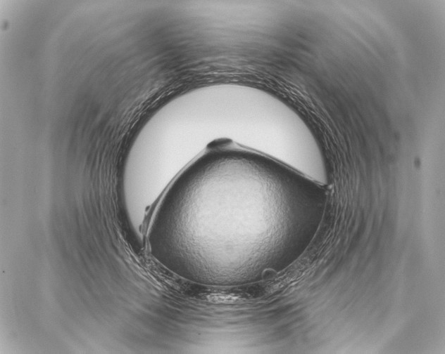 X0000086980650200705141717