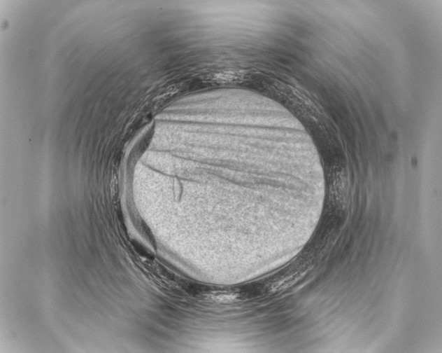 X0000086980651200705141717