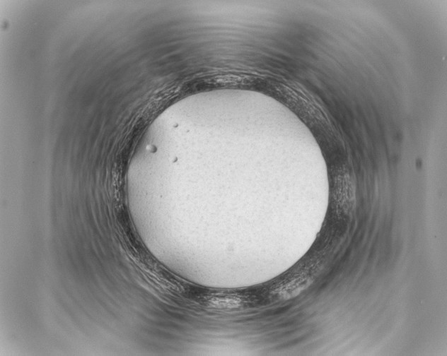 X0000086980653200705141717