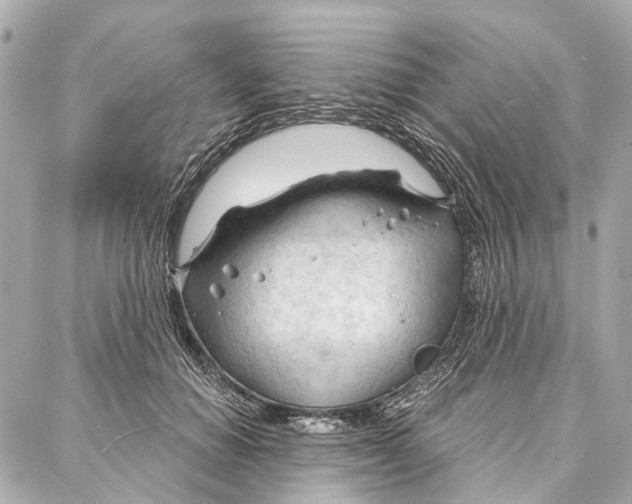 X0000086980654200705141717