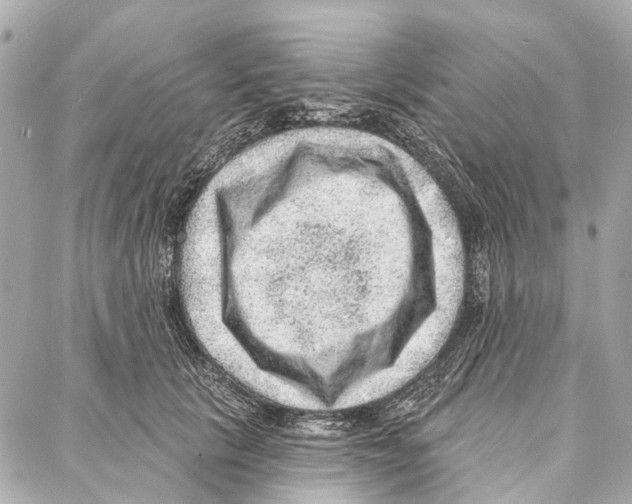 X0000086980657200705141717