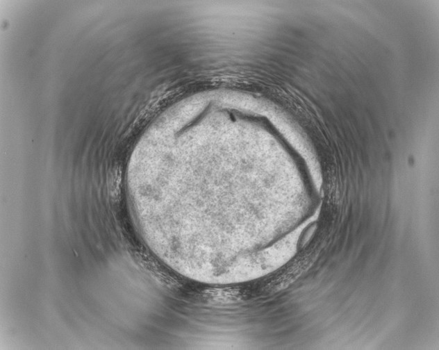 X0000086980660200705141717