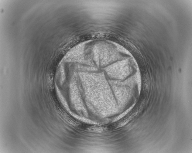 X0000086980661200705141717