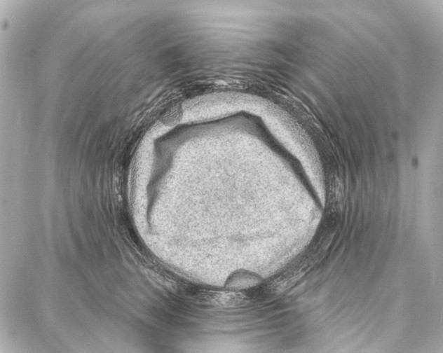 X0000086980663200705141717