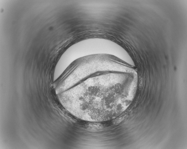 X0000086980666200705141717