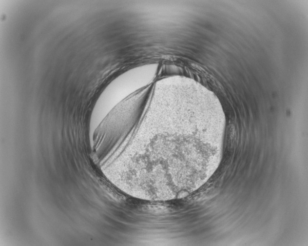 X0000086980668200705141717