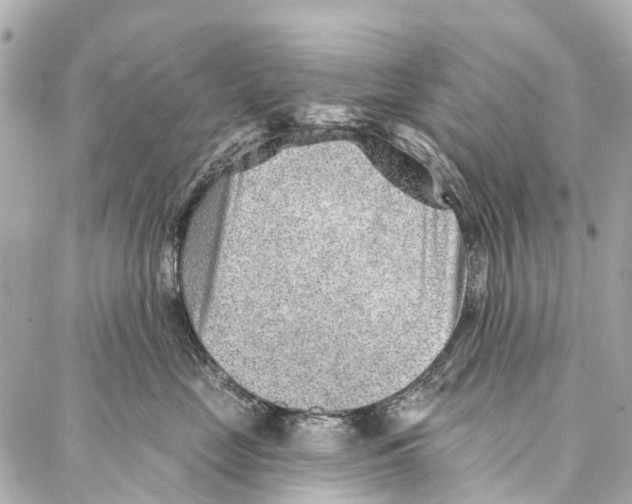 X0000086980669200705141717