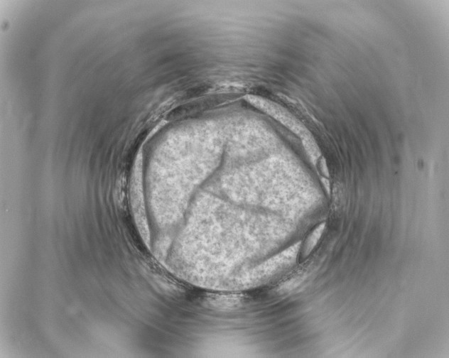 X0000086980671200705141717