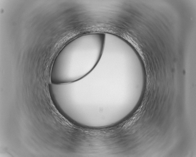 X0000086980673200705141716