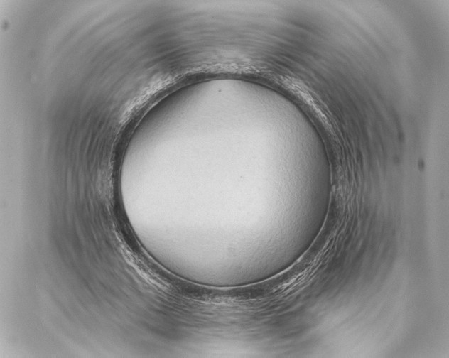 X0000086980677200705141716