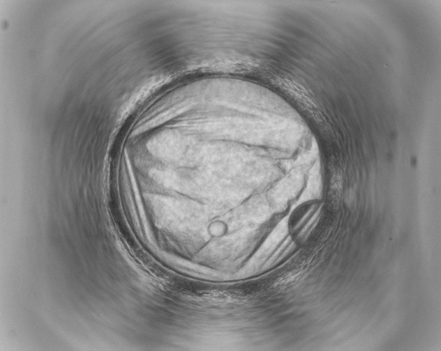 X0000086980678200705141716