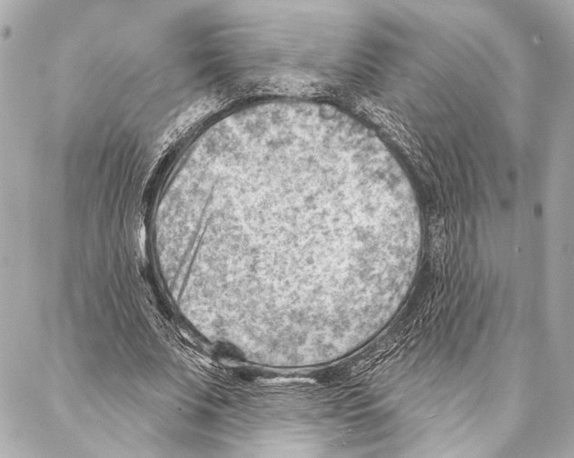 X0000086980679200705141716