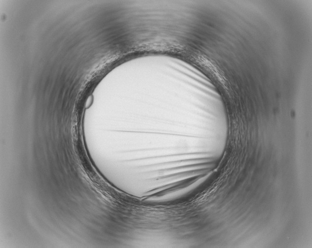 X0000086980680200705141716