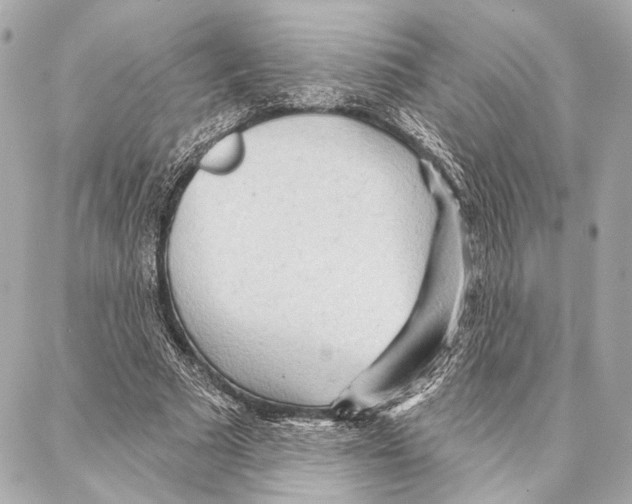 X0000086980681200705141716