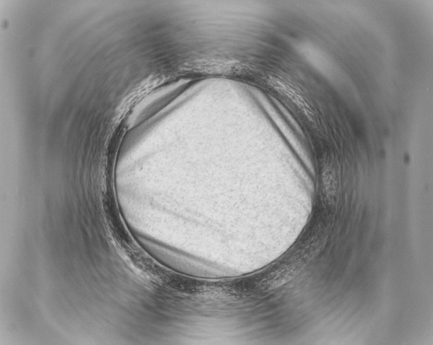 X0000086980682200705141716