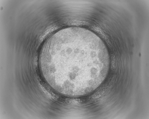 X0000086980683200705141716