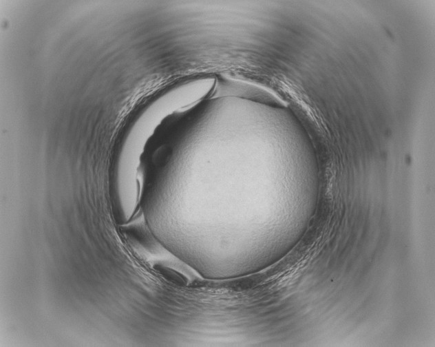 X0000086980685200705141716