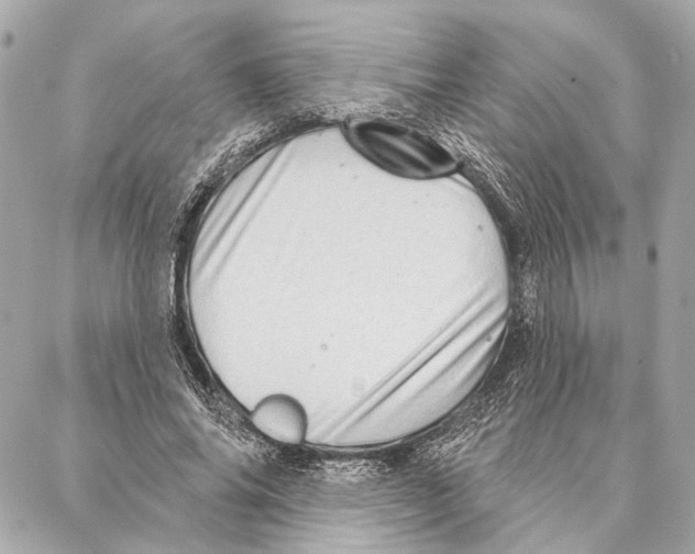 X0000086980686200705141716