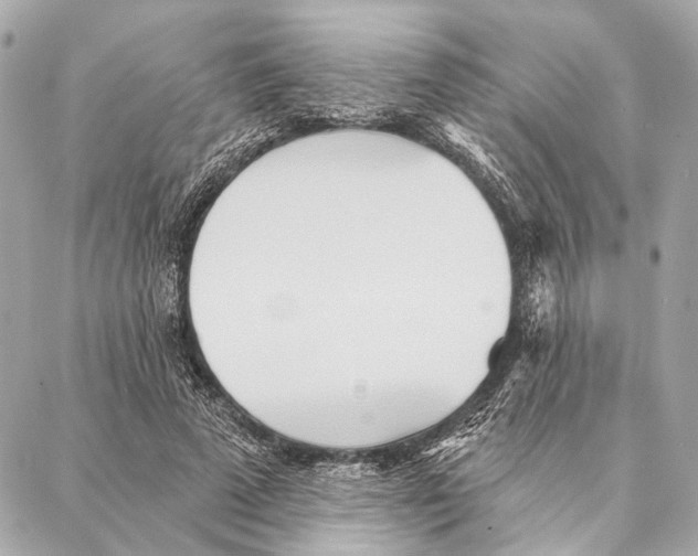 X0000086980689200705141716