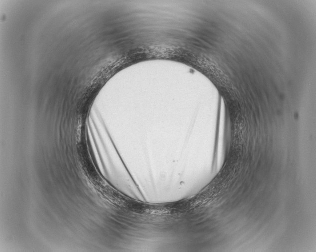 X0000086980694200705141716