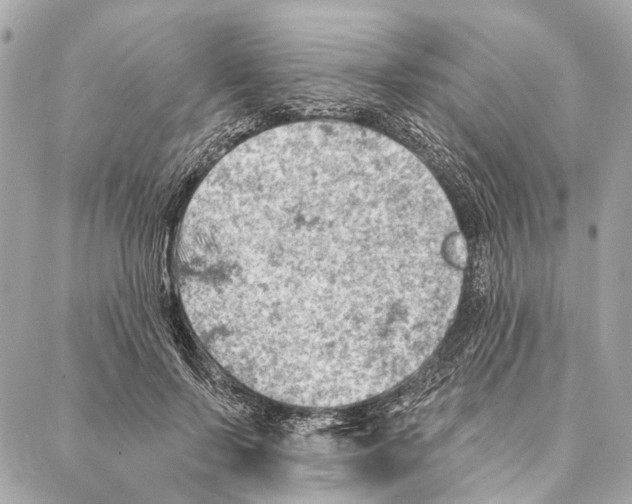 X0000086980695200705141716