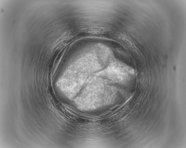 X0000086980696200705141716