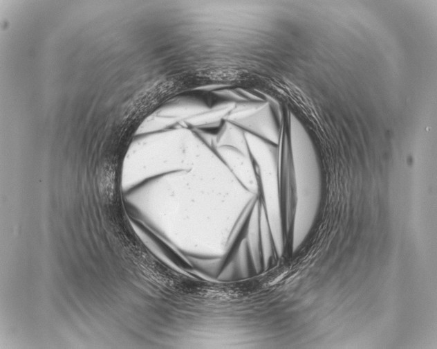 X0000086980697200705141716