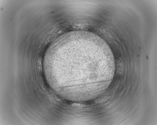 X0000086980699200705141716