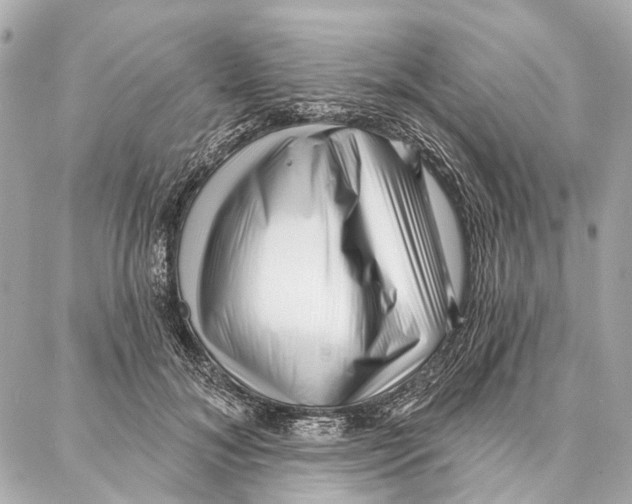 X0000086980700200705141716