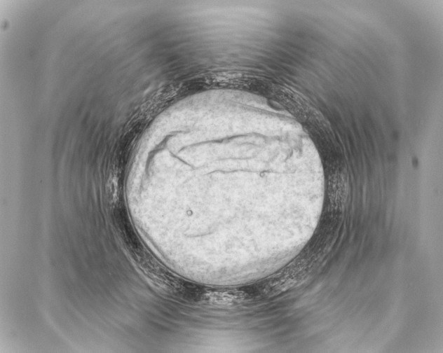 X0000086980703200705141716