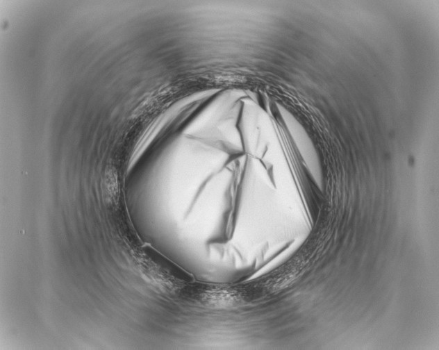 X0000086980704200705141716