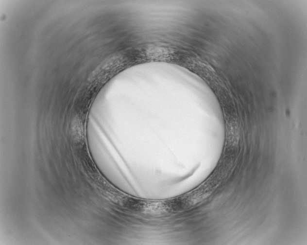 X0000086980705200705141716