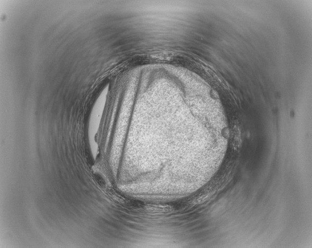 X0000086980707200705141716