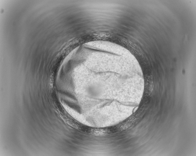 X0000086980710200705141716