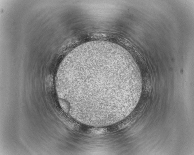 X0000086980711200705141716