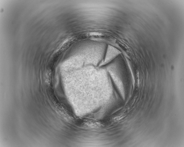 X0000086980712200705141716