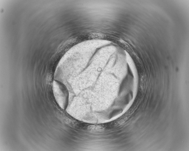 X0000086980714200705141716