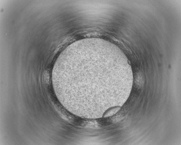 X0000086980715200705141716