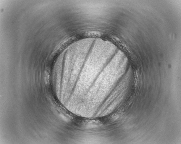 X0000086980716200705141716