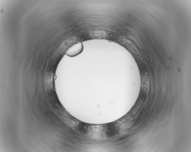 X0000086980717200705141716