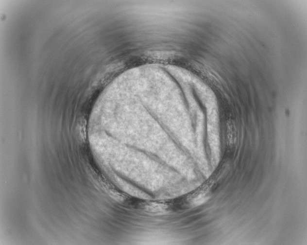 X0000086980718200705141716