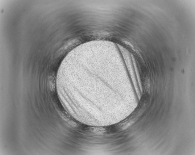 X0000086980719200705141716