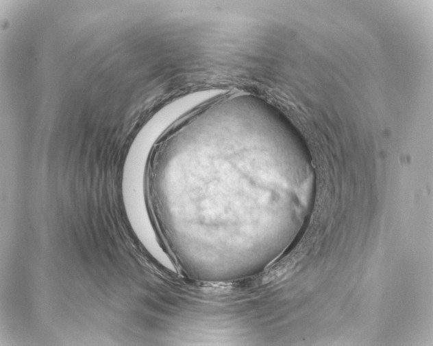 X0000086980720200705141716