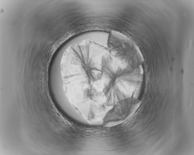 X0000086980721200705141715