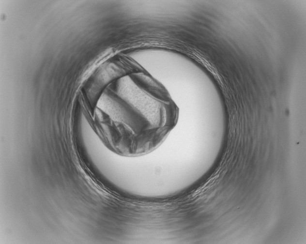 X0000086980722200705141715