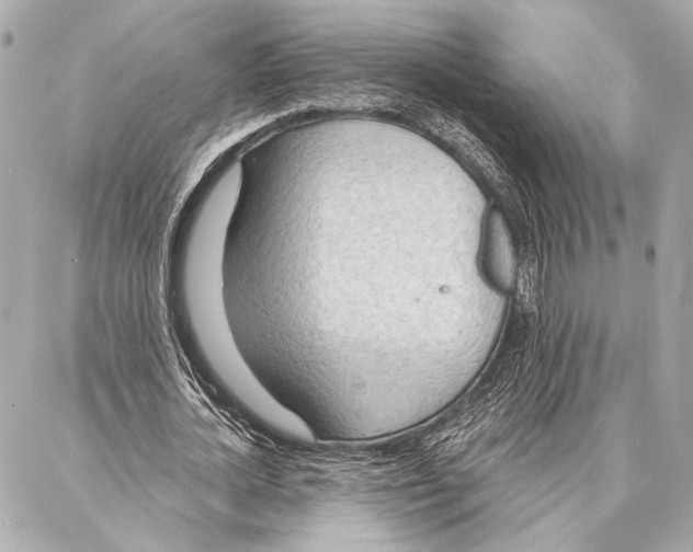 X0000086980724200705141715