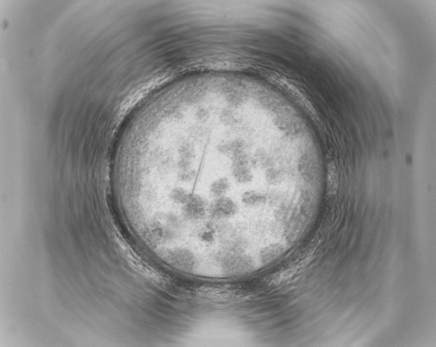 X0000086980725200705141715