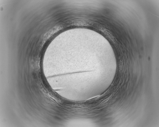 X0000086980727200705141715