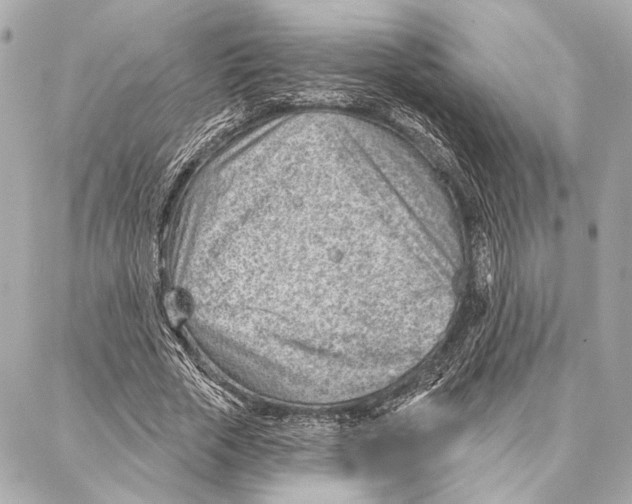 X0000086980729200705141715