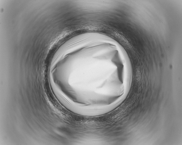 X0000086980730200705141715